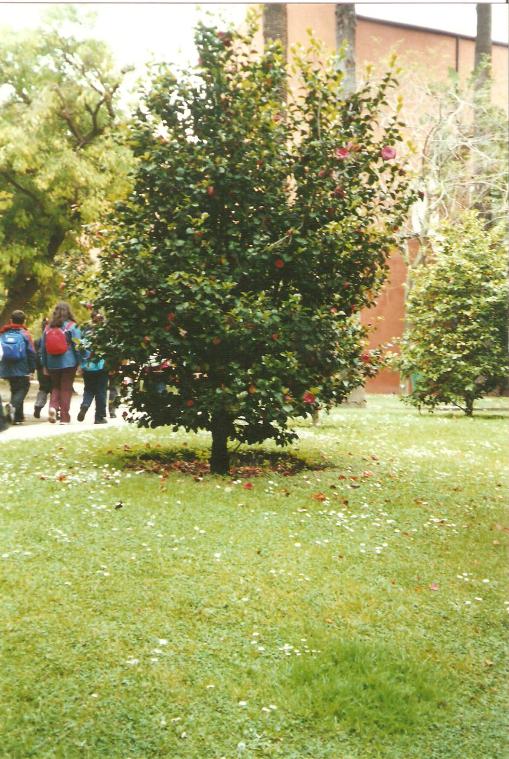 giardino botanico di napoli-2